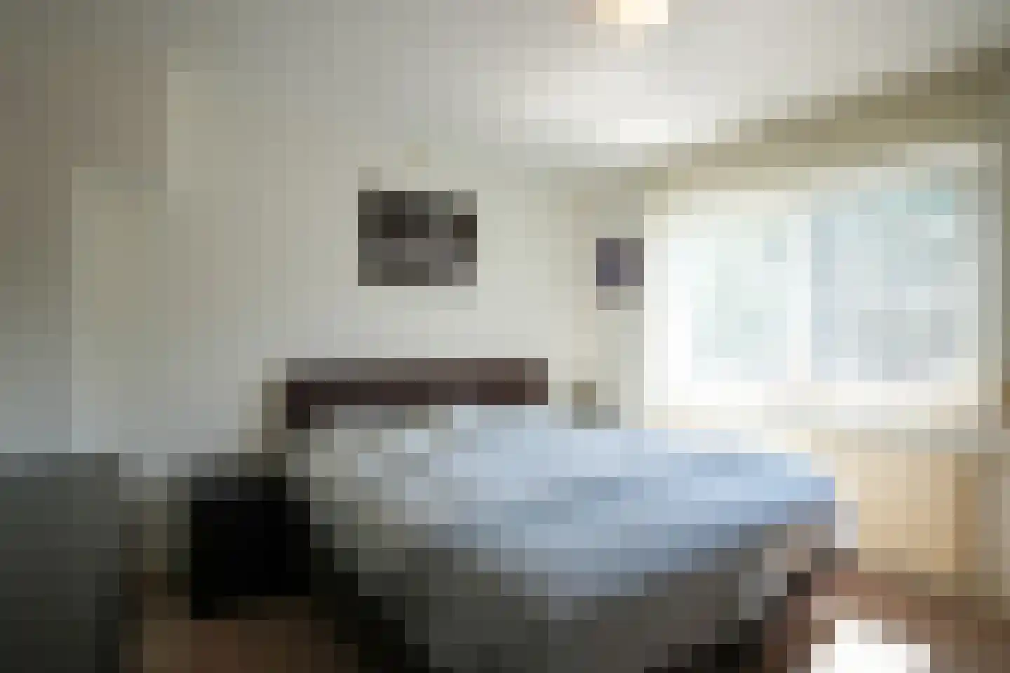 Resedastraat 16 Geleen thumbnail 36
