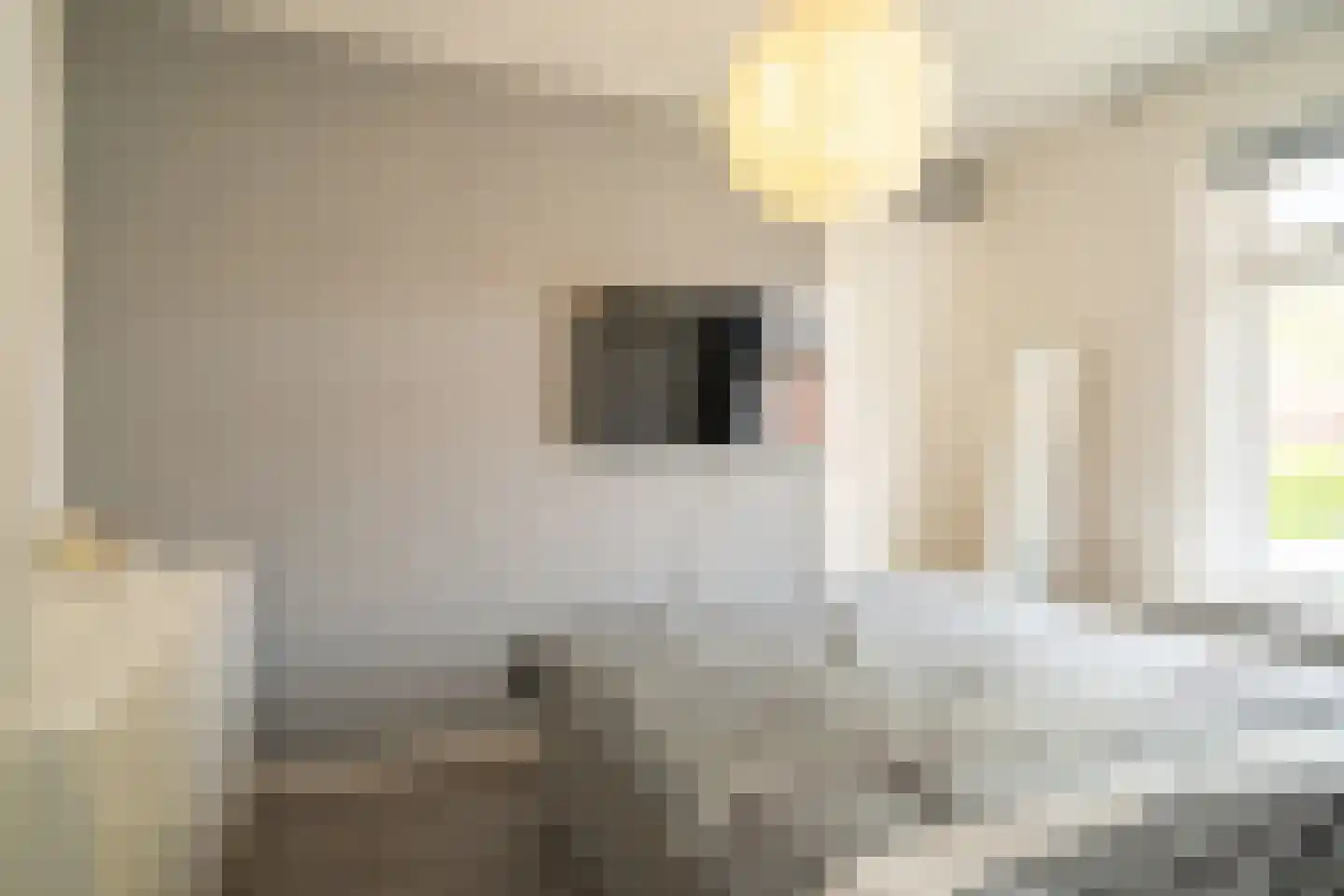 Resedastraat 16 I Hengelo thumbnail 8