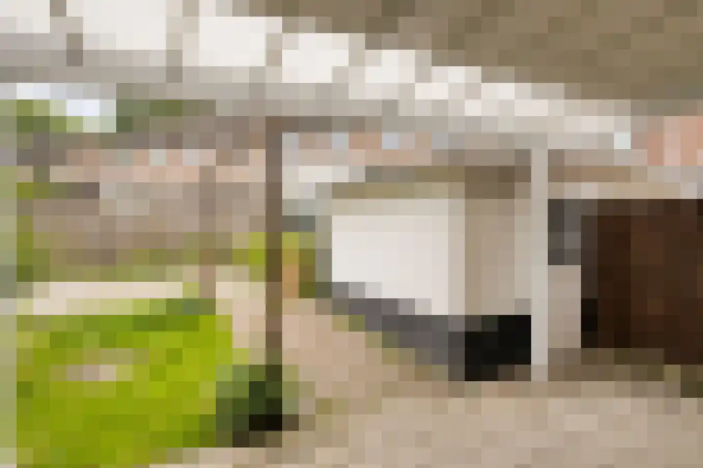Resedastraat 16 Maastricht thumbnail 12