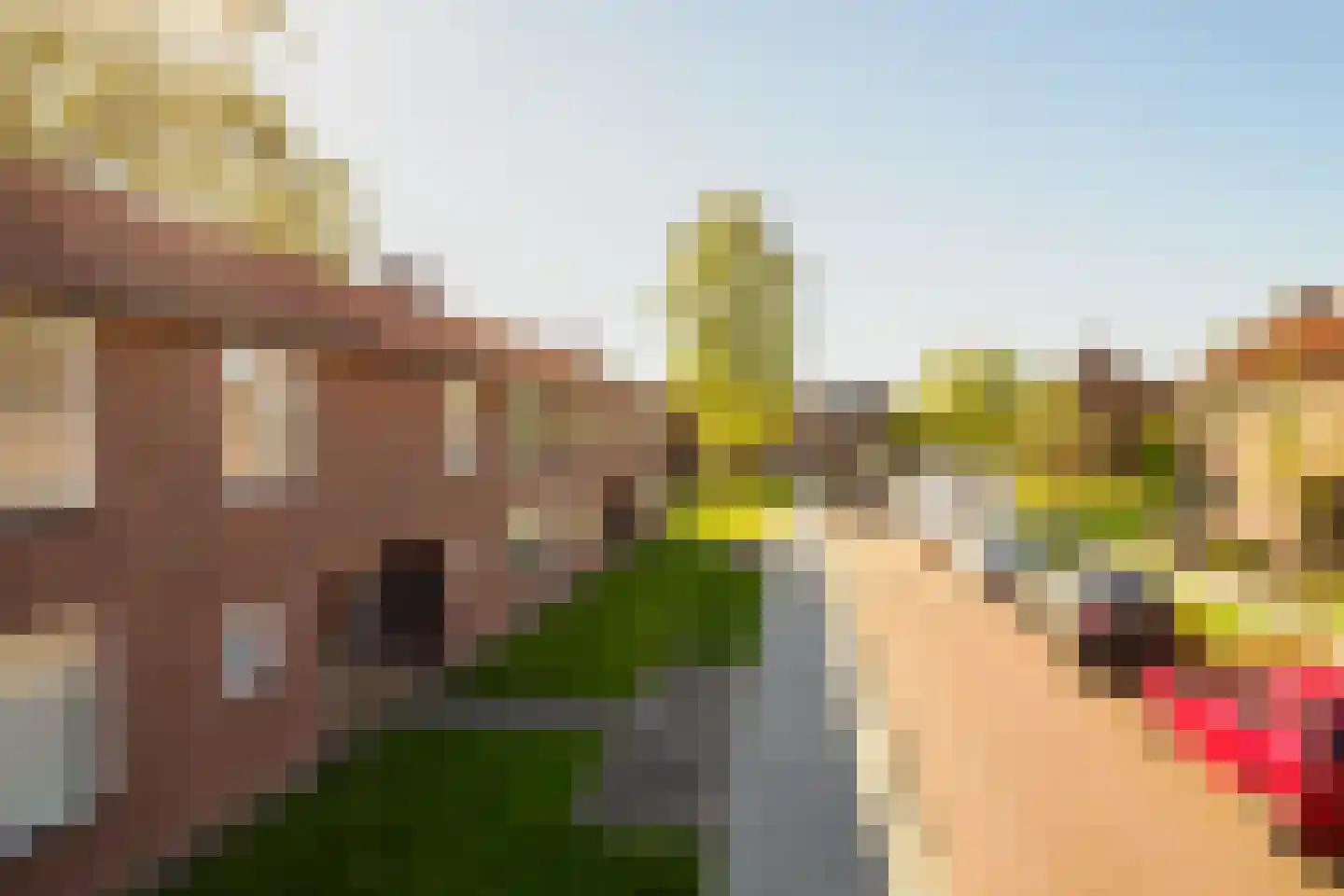 Resedastraat 18 I Hengelo thumbnail 24