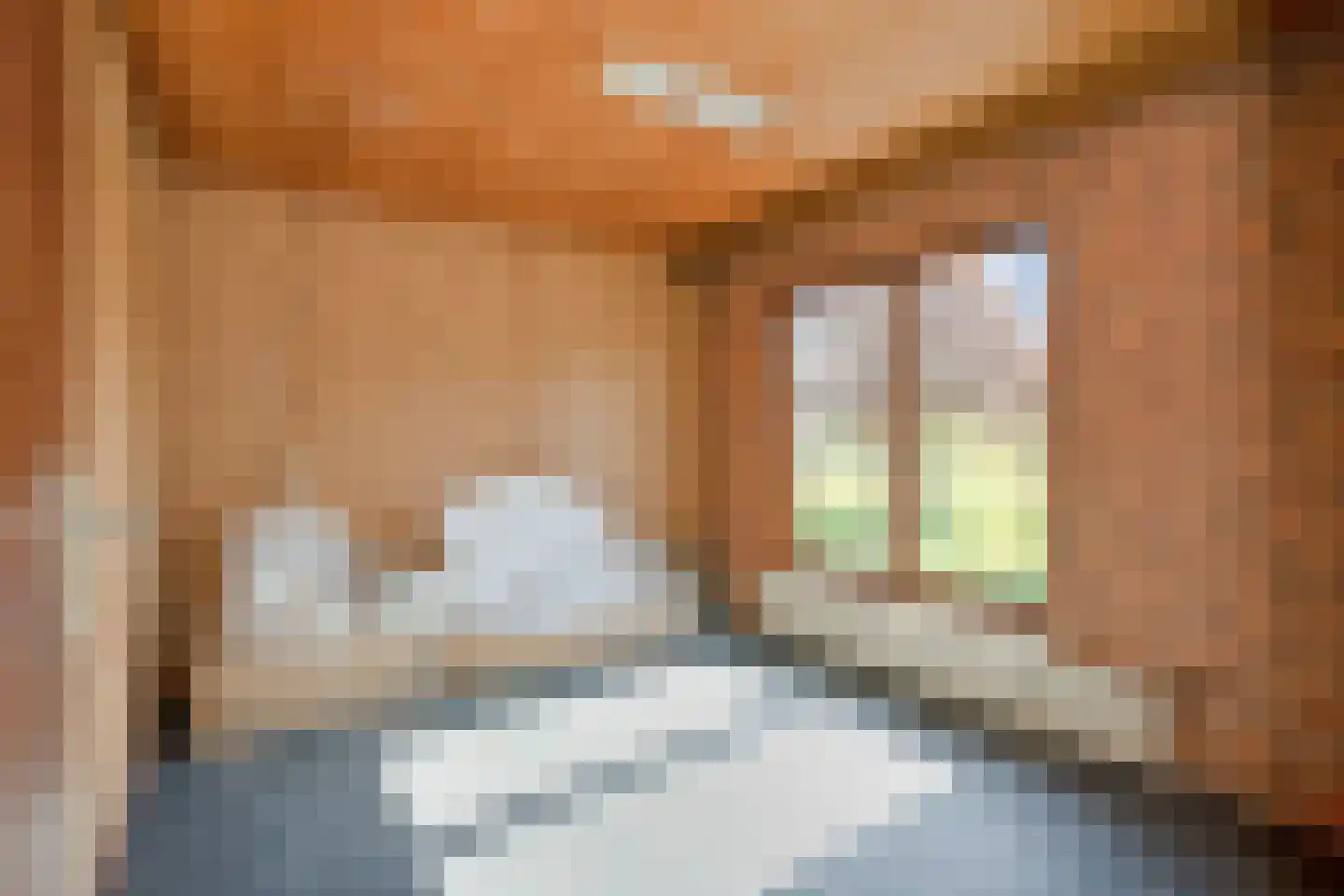 Resedastraat 19 Geleen thumbnail 19