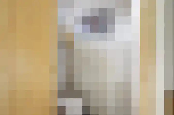 Resedastraat 2 Hoogeveen thumbnail 12
