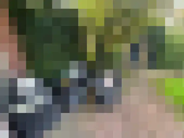 Resedastraat 3 Hengelo thumbnail 31