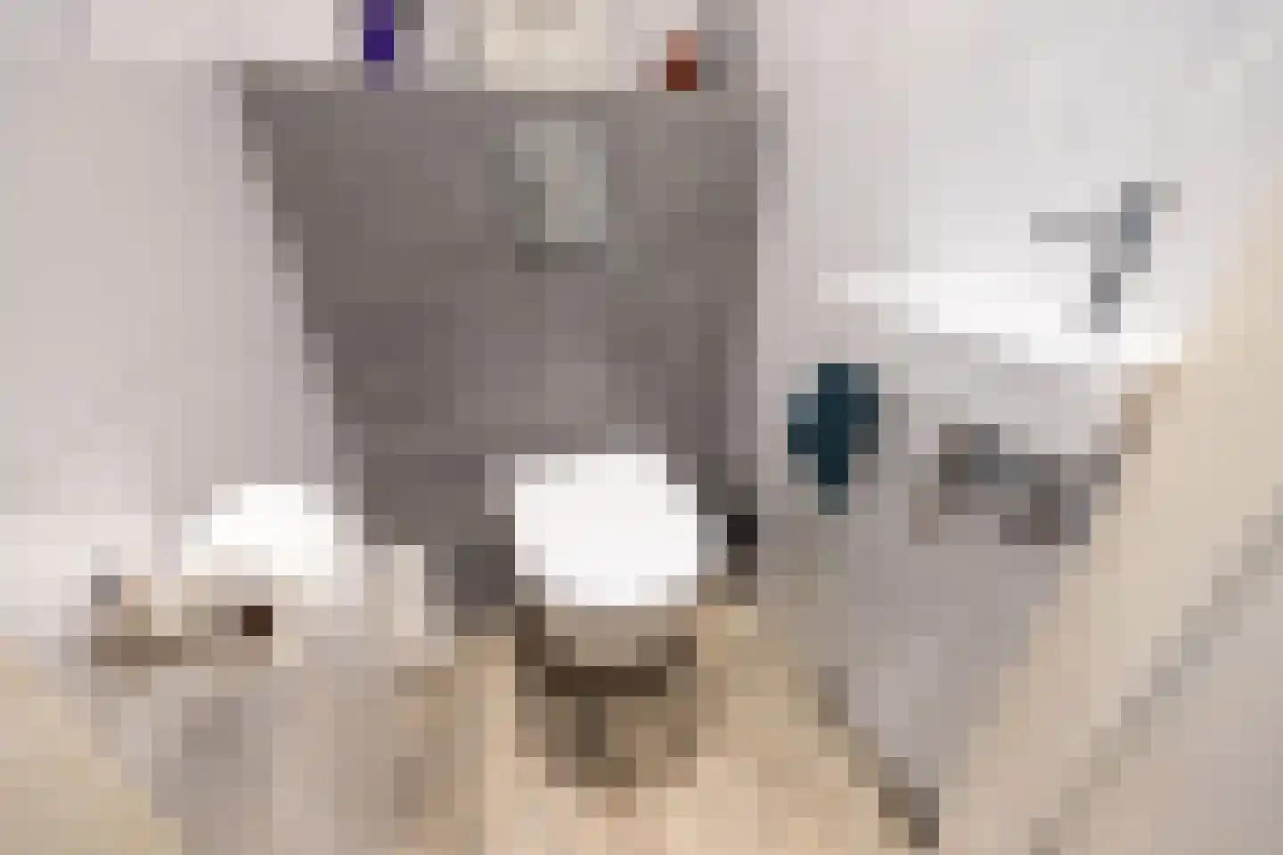 Resedastraat 3 Rijswijk thumbnail 17
