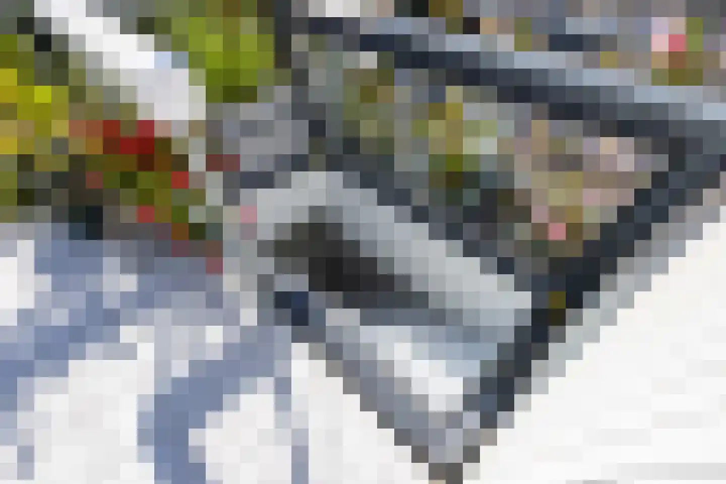 Resedastraat 3 Rijswijk thumbnail 30