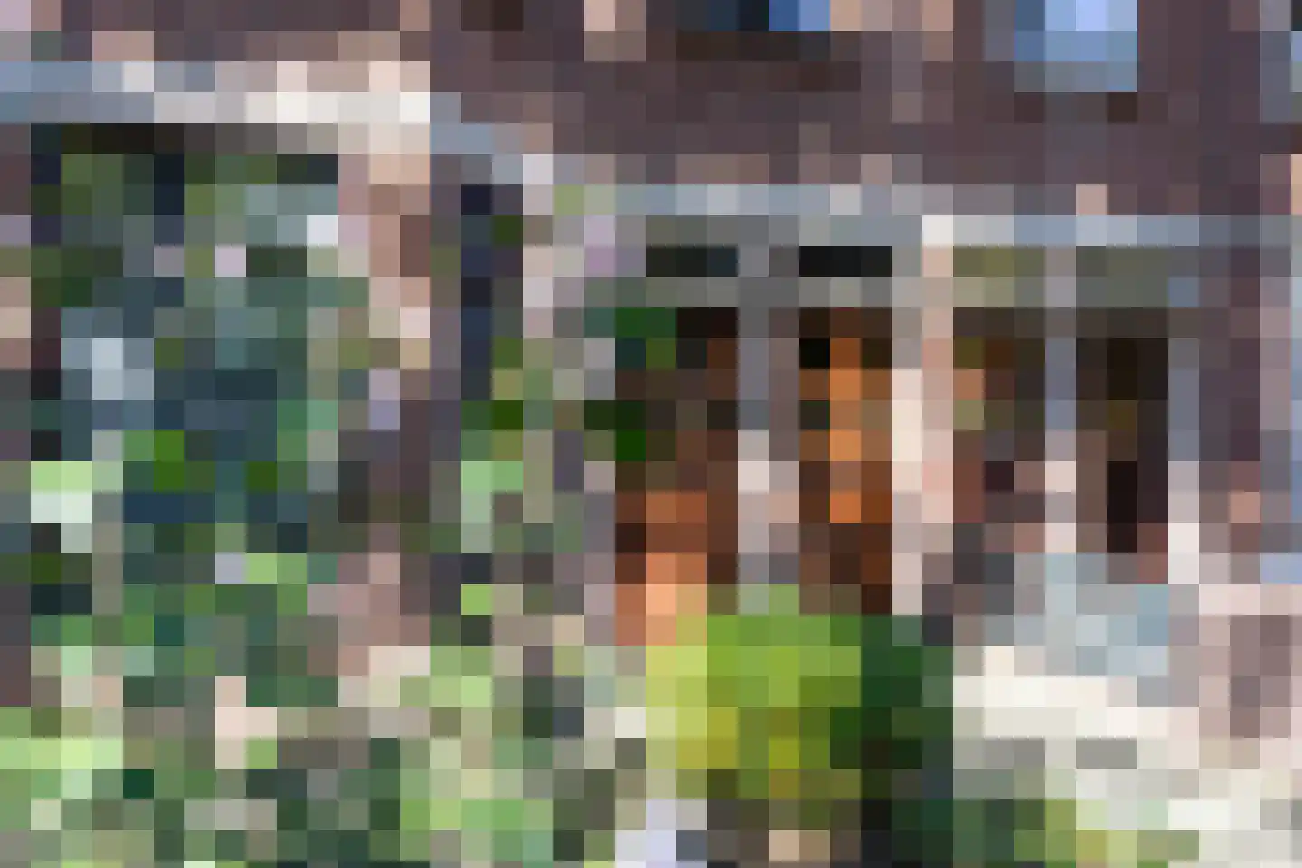 Resedastraat 3 Rijswijk thumbnail 35