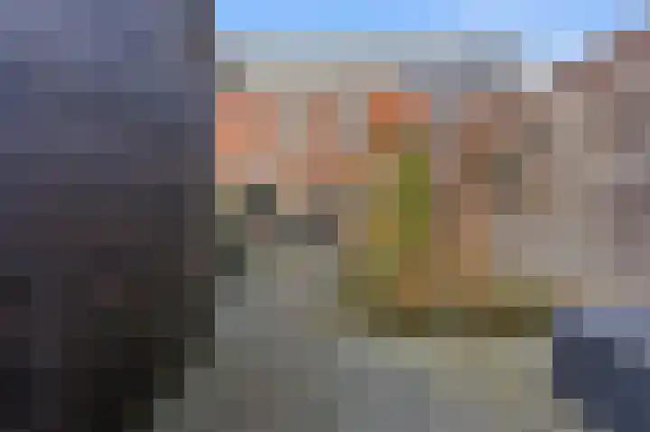 Resedastraat 34 Alblasserdam thumbnail 30