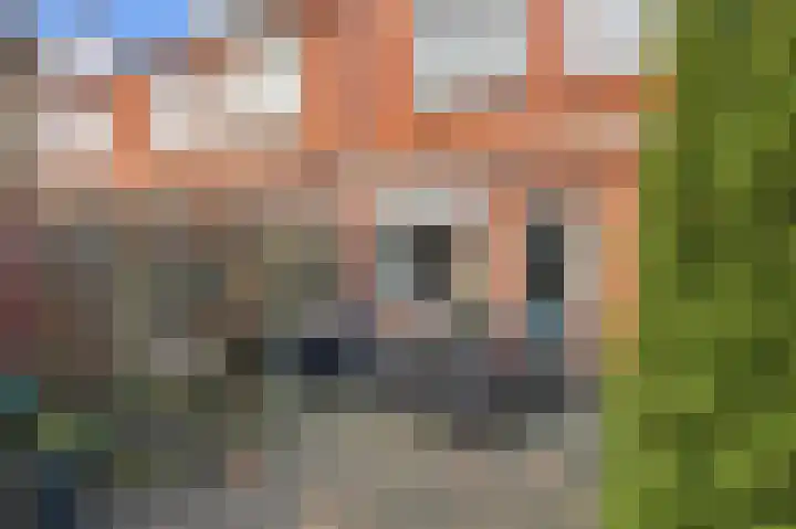 Resedastraat 34 Alblasserdam thumbnail 32