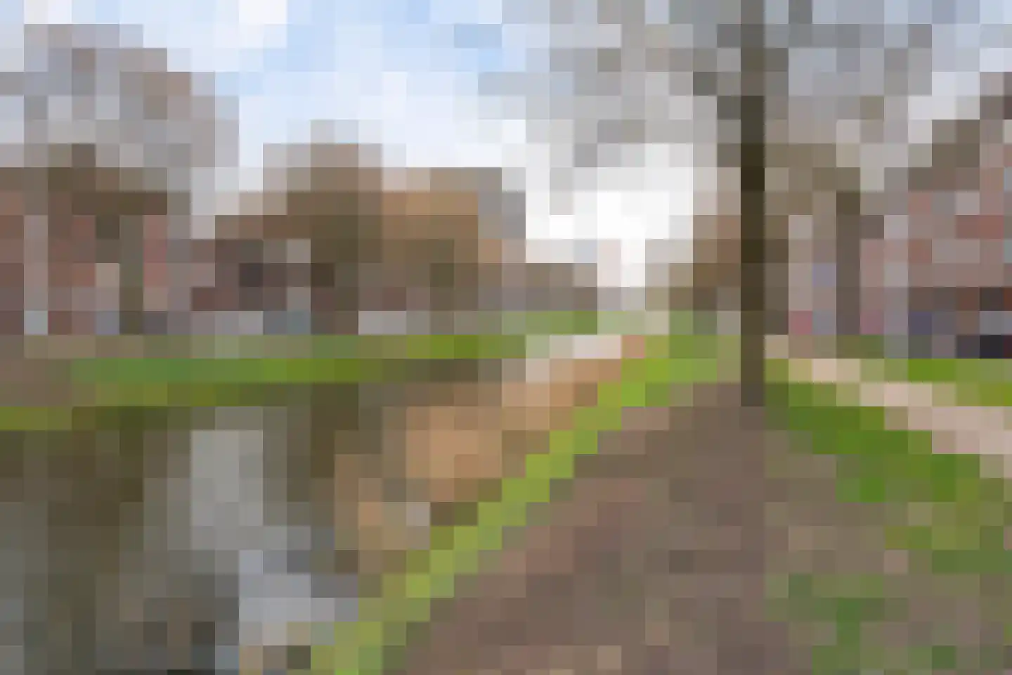 Resedastraat 35 B Rotterdam thumbnail 35