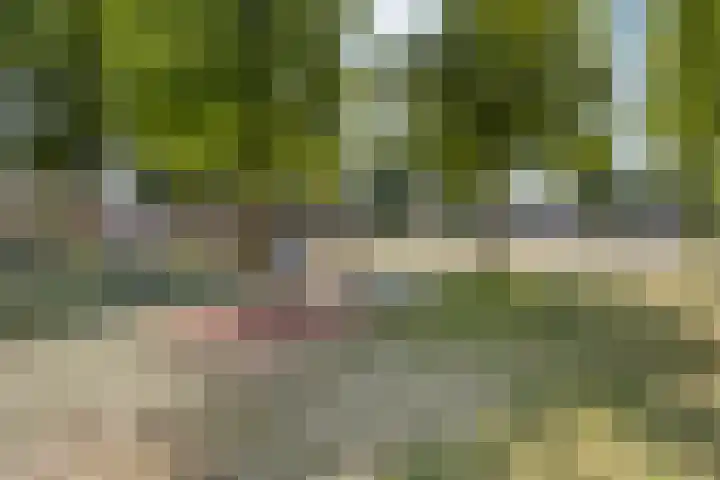 Resedastraat 37 Sittard thumbnail 38