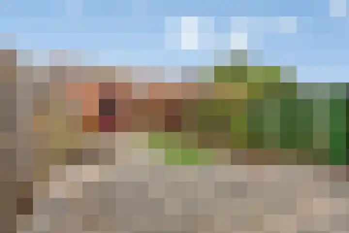 Resedastraat 45 Alblasserdam thumbnail 11