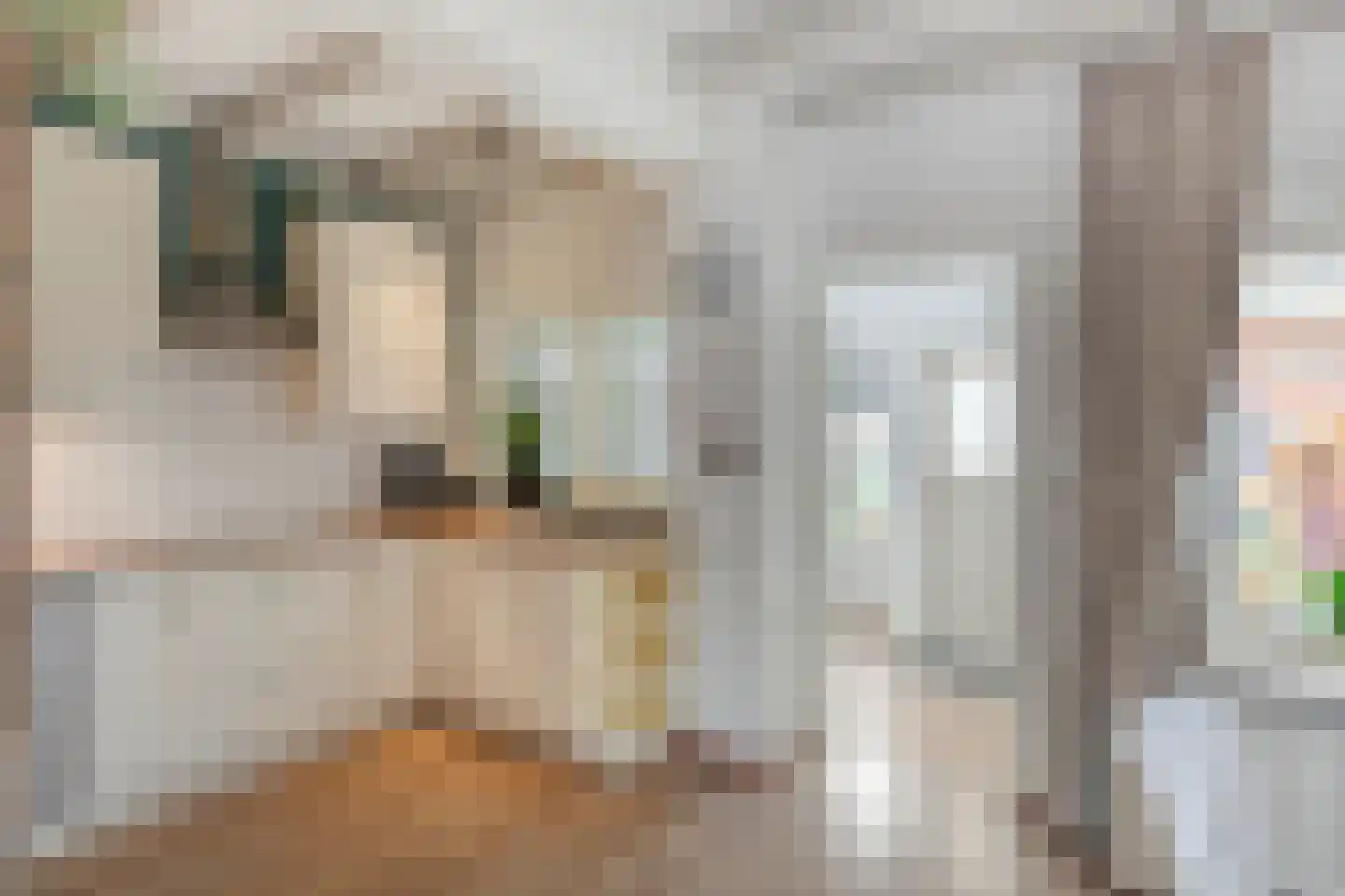 Resedastraat 47 Alblasserdam thumbnail 12