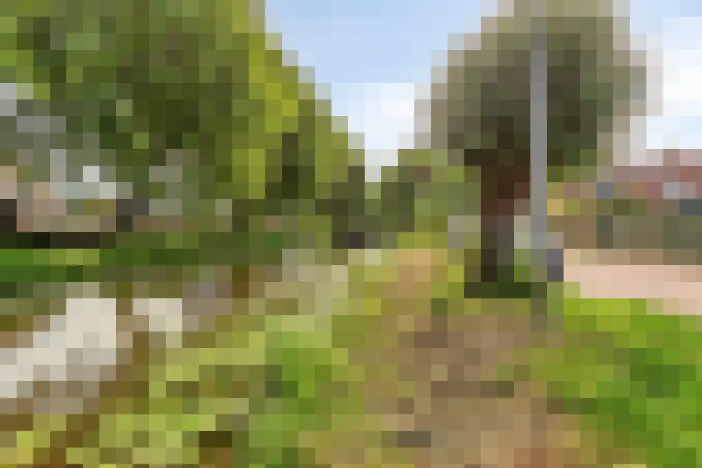 Resedastraat 47 Alblasserdam thumbnail 31