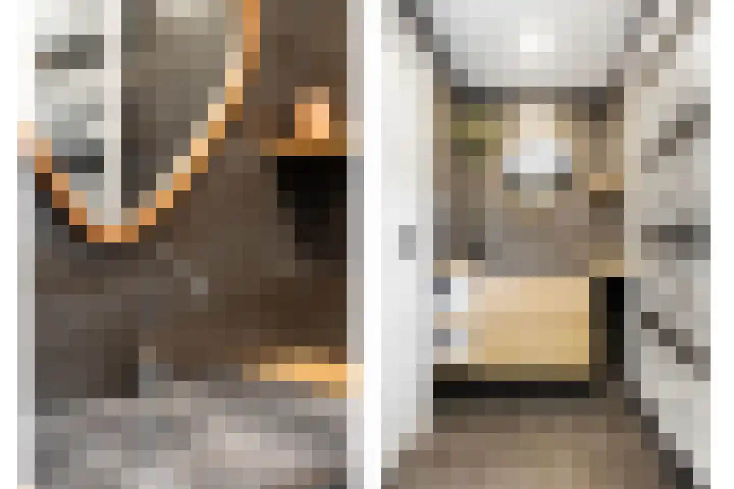 Resedastraat 58 Alblasserdam thumbnail 29