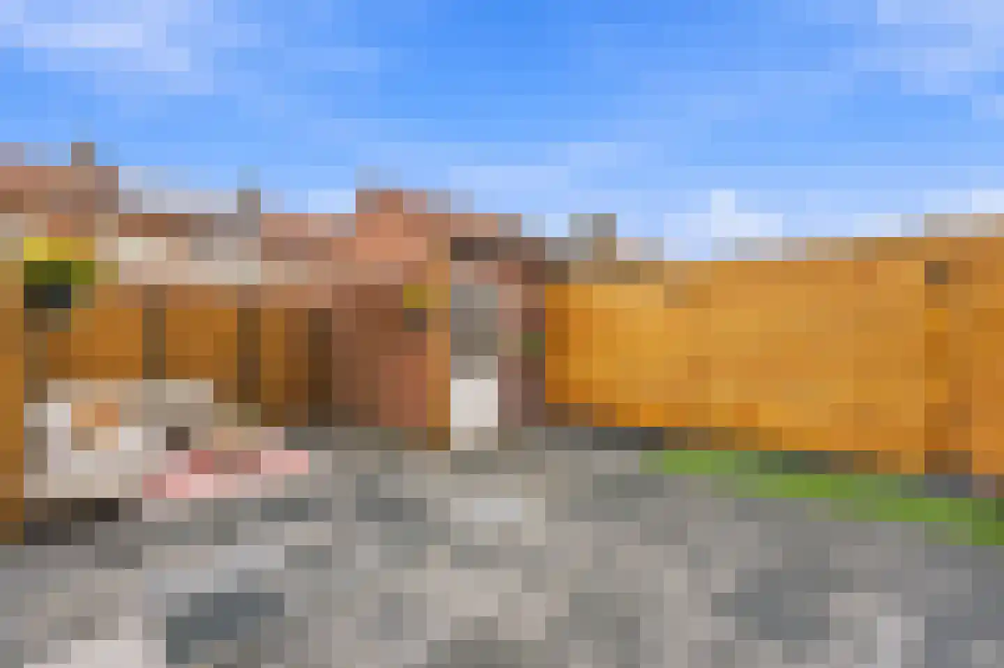 Resedastraat 58 Alblasserdam thumbnail 35