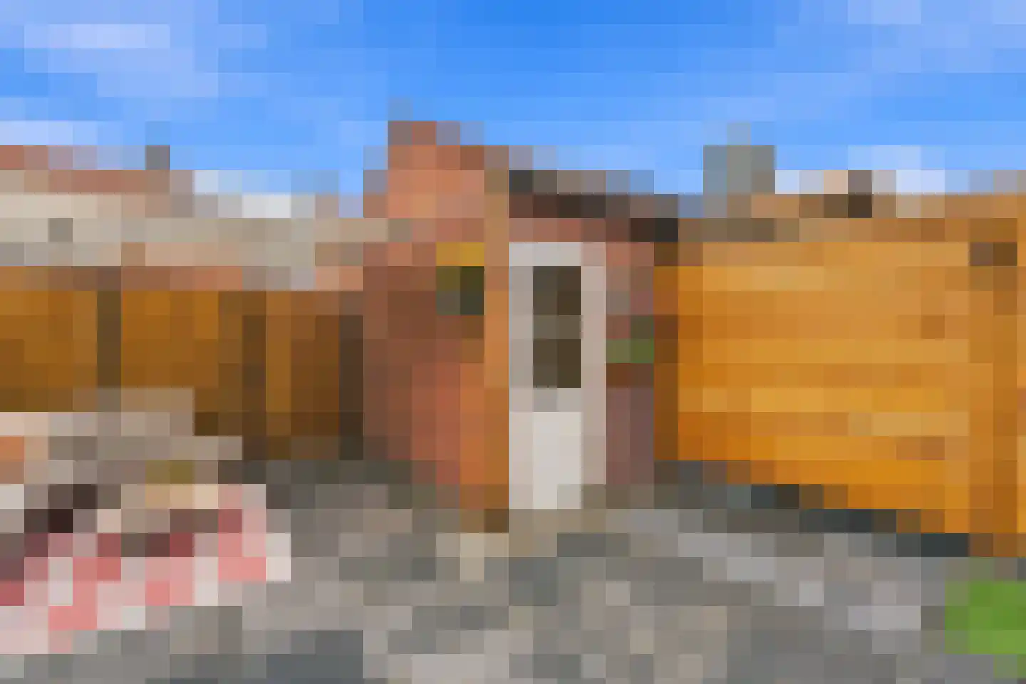 Resedastraat 58 Alblasserdam thumbnail 37