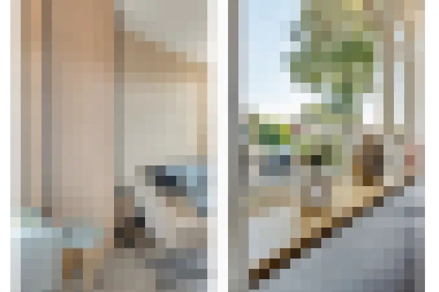Resedastraat 6 Hoogeveen thumbnail 12