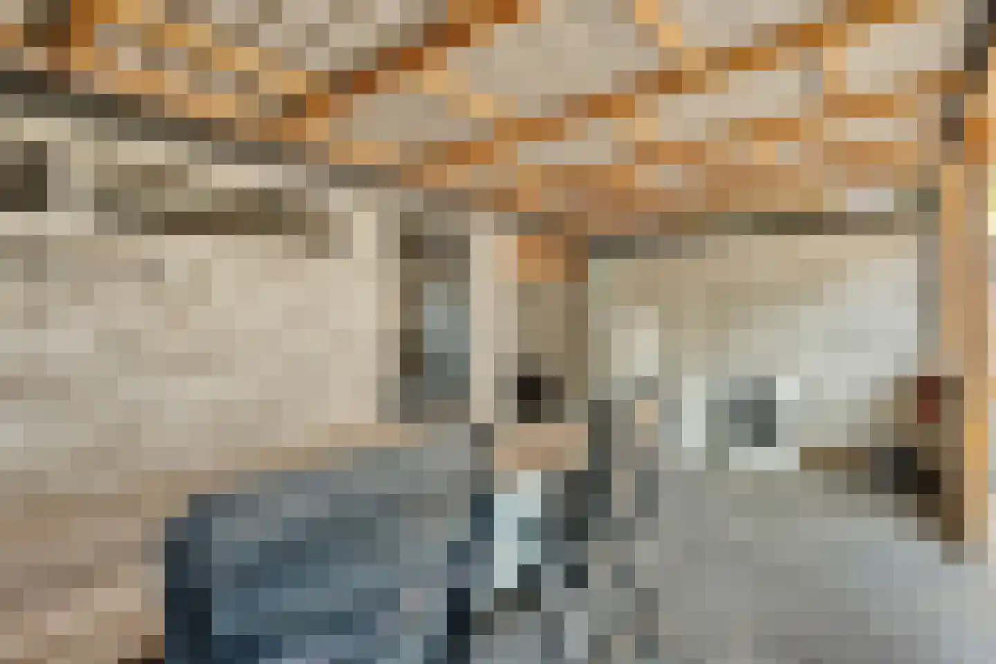 Resedastraat 6 Hoogeveen thumbnail 32