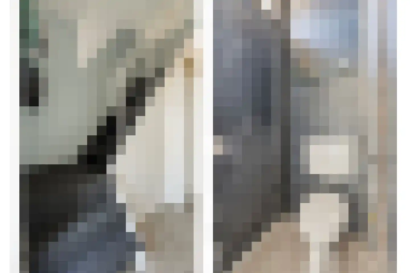 Resedastraat 6 Hoogeveen thumbnail 5