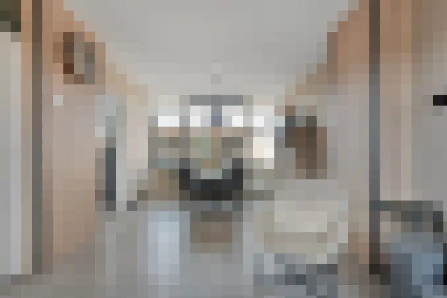 Resedastraat 6 Hoogeveen thumbnail 9