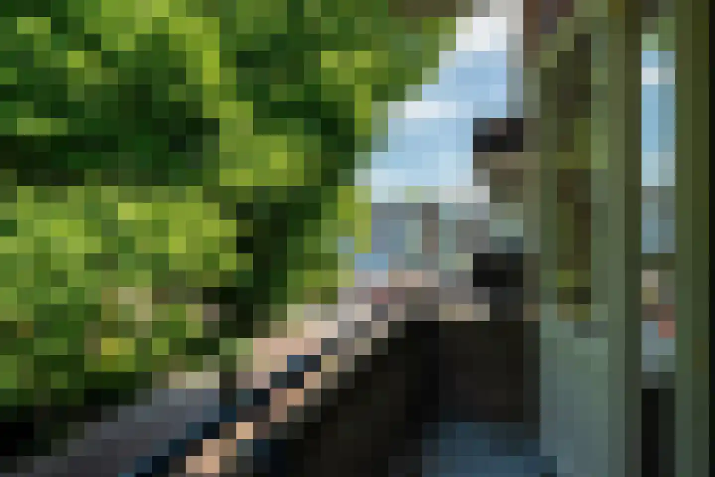 Resedastraat 61 Groningen thumbnail 20