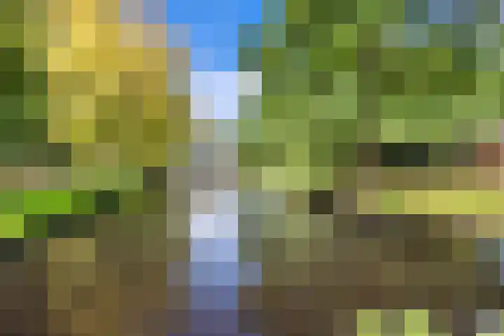 Resedastraat 7 Rijswijk thumbnail 27
