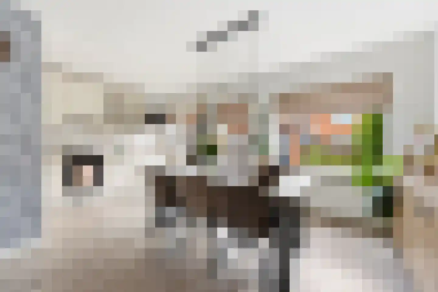 Resedastraat 70 Alblasserdam thumbnail 10