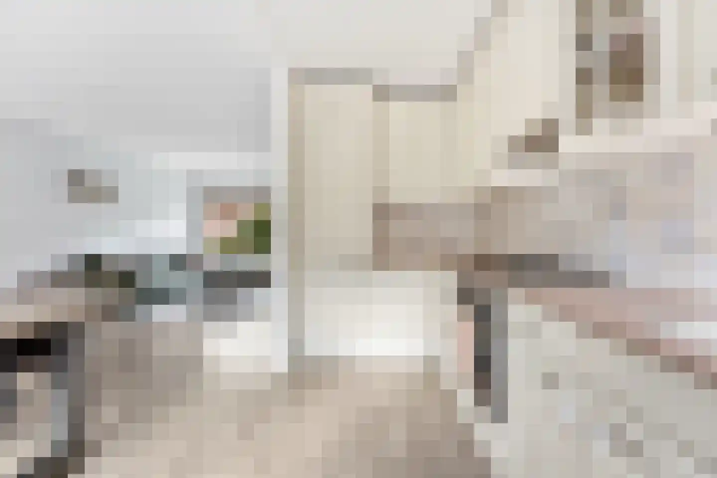 Resedastraat 70 Alblasserdam thumbnail 15