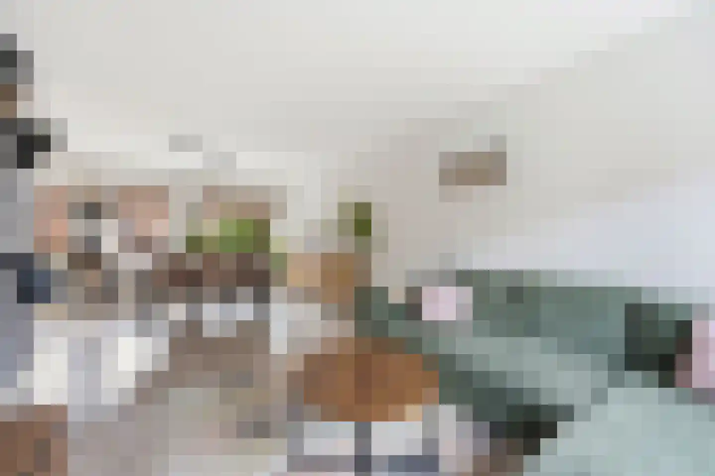 Resedastraat 70 Alblasserdam thumbnail 9