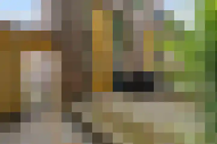Resedastraat 74 Groningen thumbnail 27