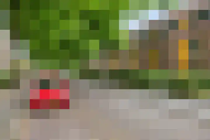 Resedastraat 74 Groningen thumbnail 30