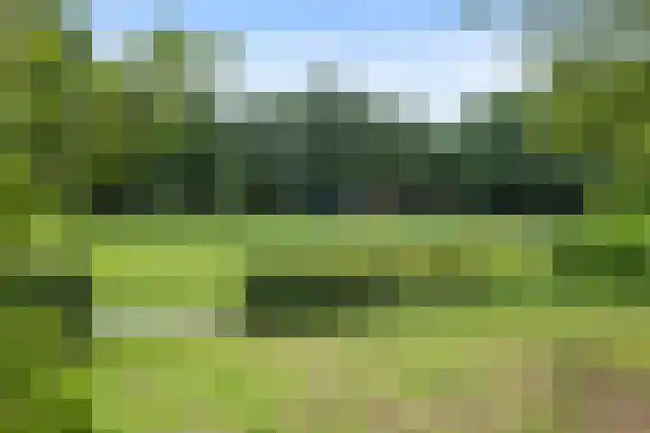 Resedastraat 74 Groningen thumbnail 31