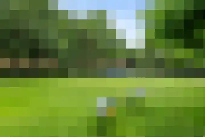 Resedastraat 74 Groningen thumbnail 32