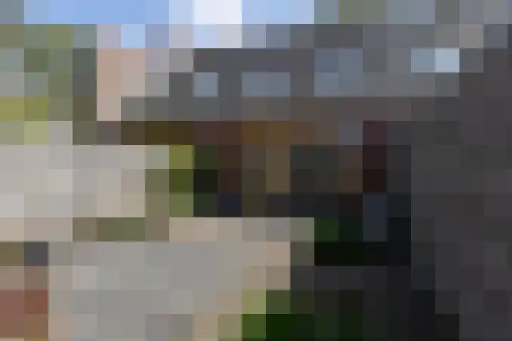 Resedastraat 78 Groningen thumbnail 22