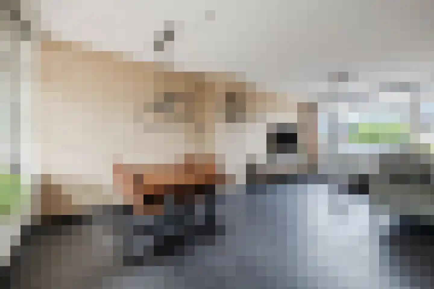 Resedastraat 8 Hoogeveen thumbnail 6