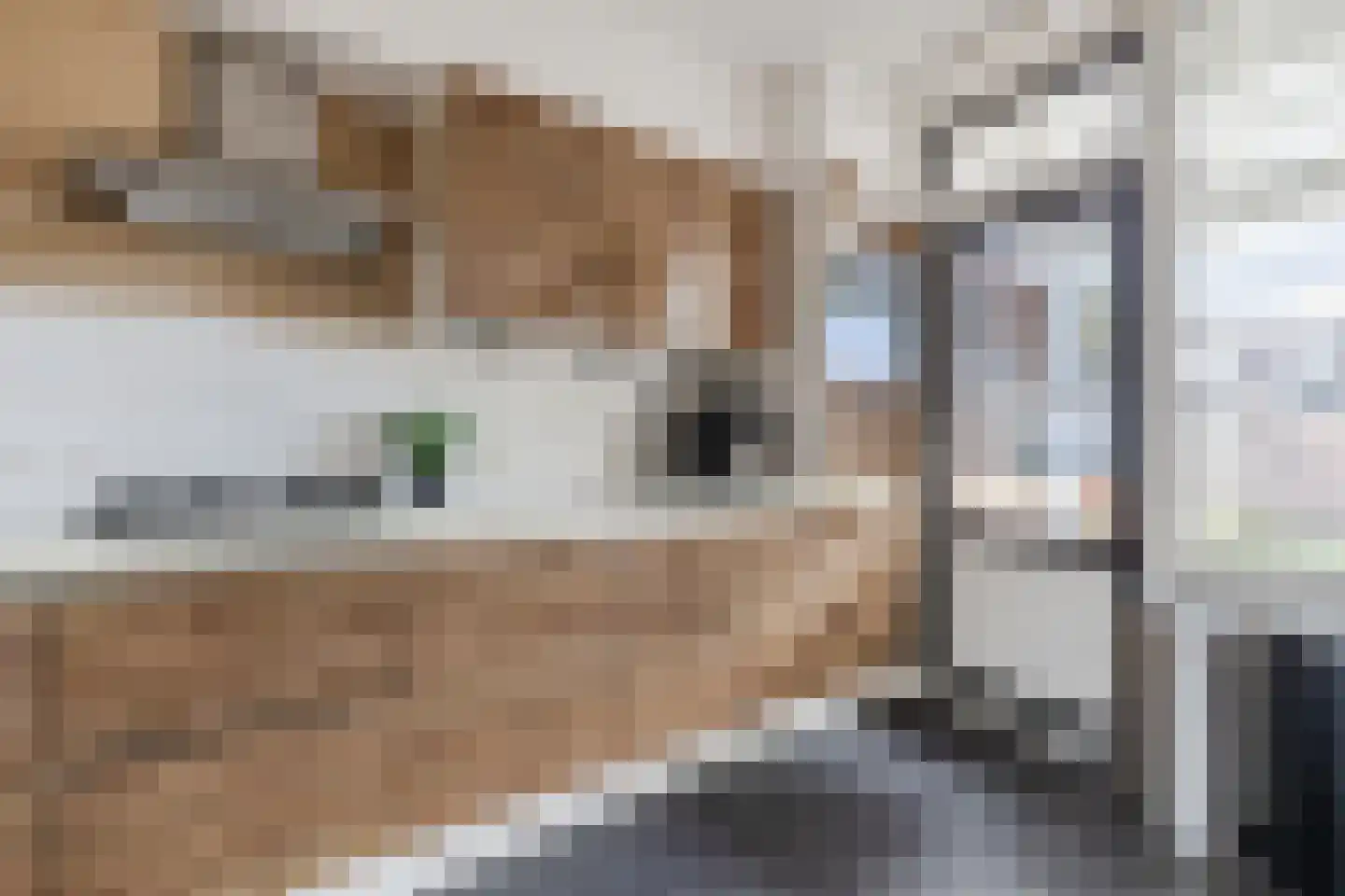 Resedastraat 8 Hoogeveen thumbnail 8