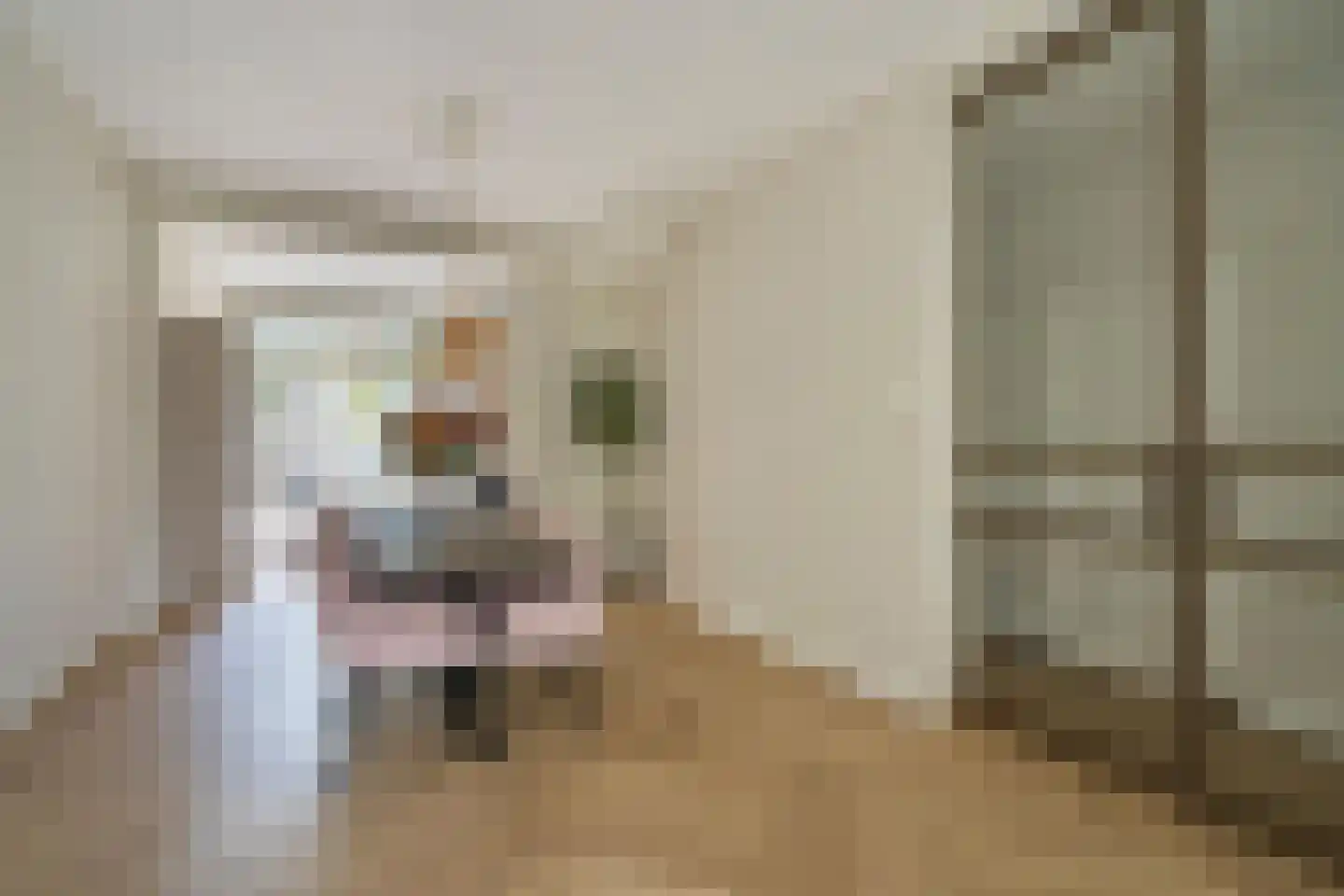 Resedastraat 9 Rijswijk thumbnail 12