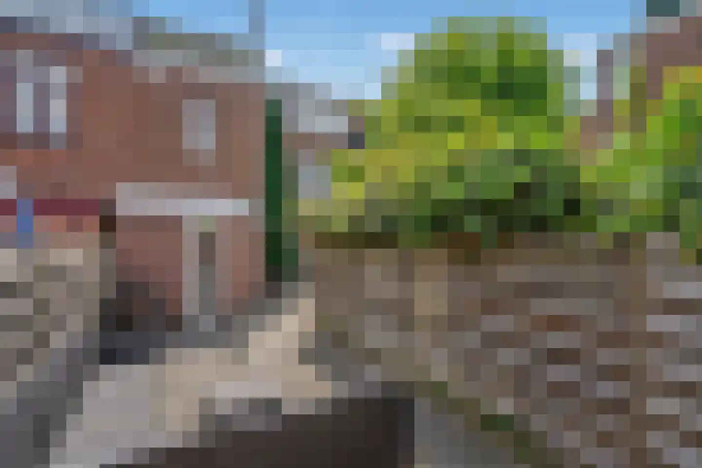 Resedastraat 9 Rijswijk thumbnail 22