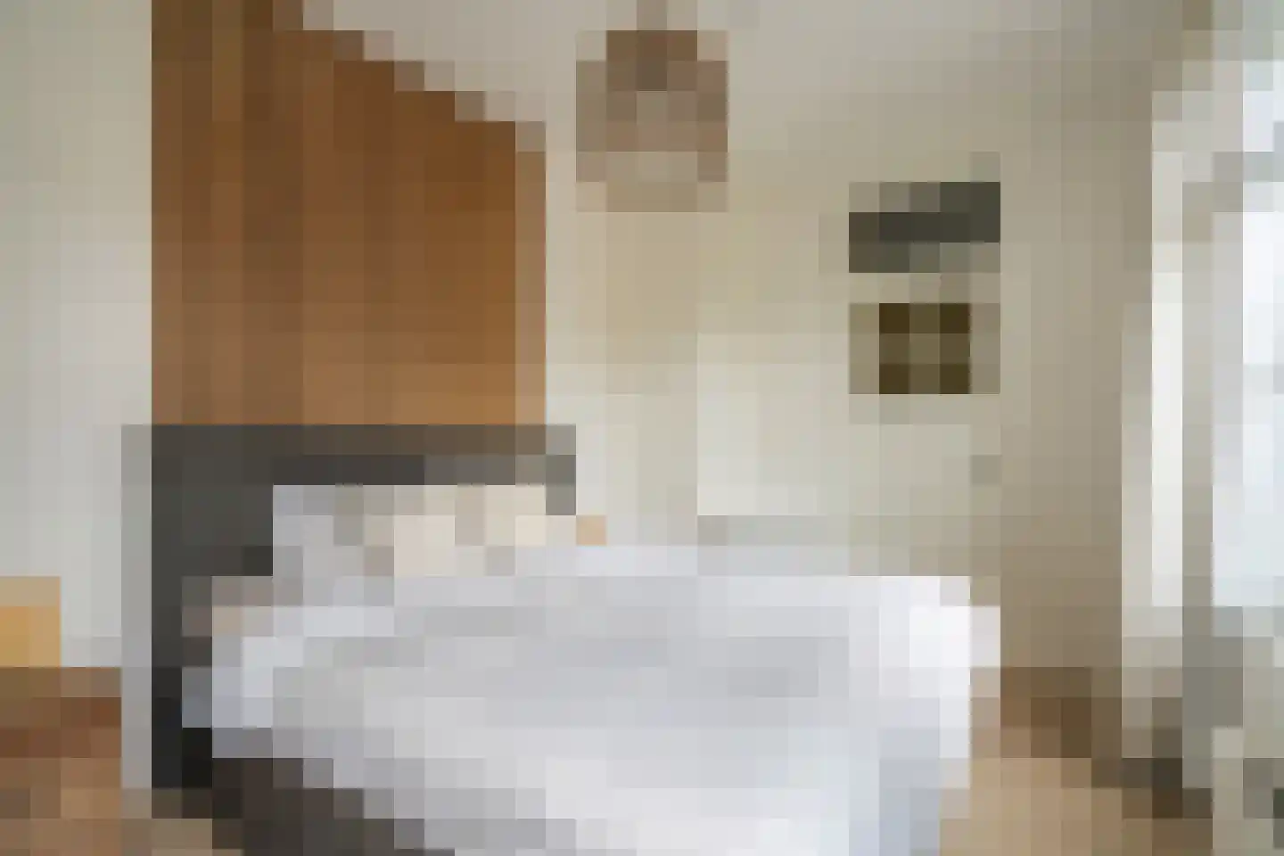 Resedastraat 9 Rijswijk thumbnail 32