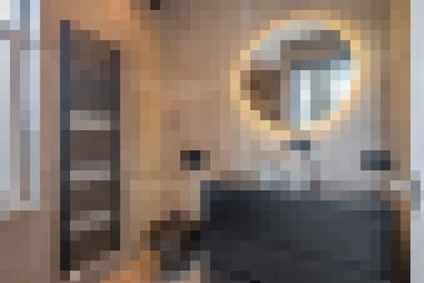 Resedastraat 9 Rijswijk thumbnail 34