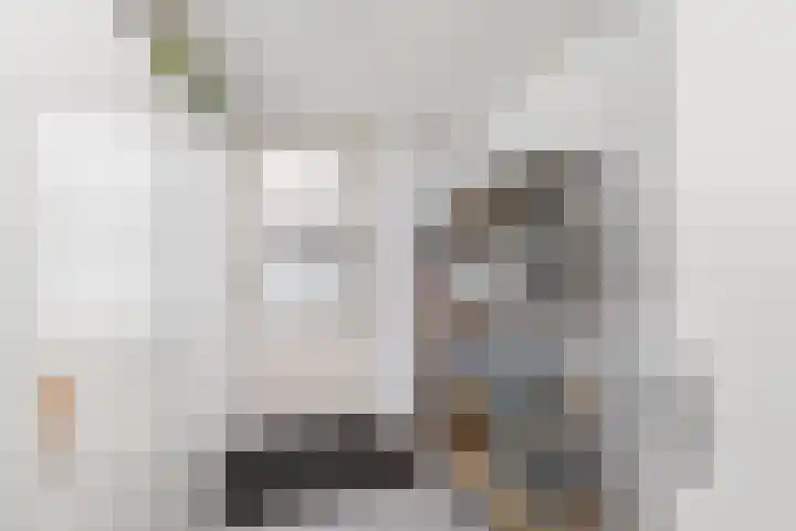Resedawitje 15 Wolvega thumbnail 12