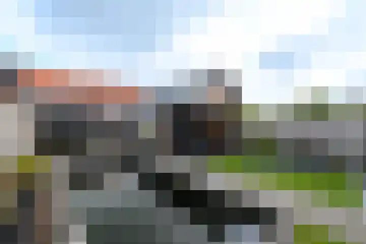 Resedawitje 15 Wolvega thumbnail 35