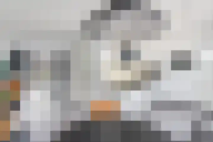 Resedawitje 15 Wolvega thumbnail 8