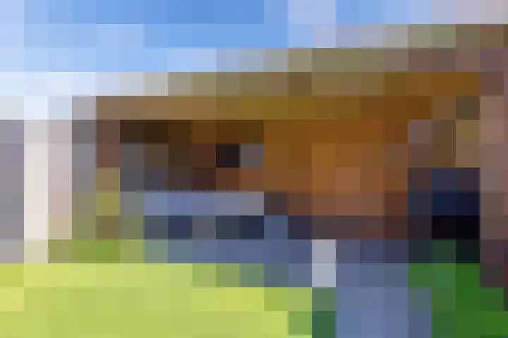 Resedawitje 23 Wolvega thumbnail 31