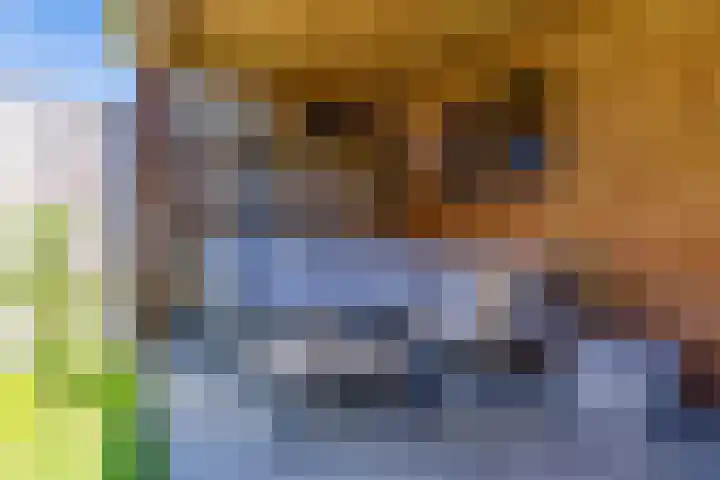 Resedawitje 23 Wolvega thumbnail 32