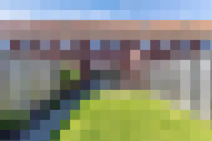 Resedawitje 23 Wolvega thumbnail 34
