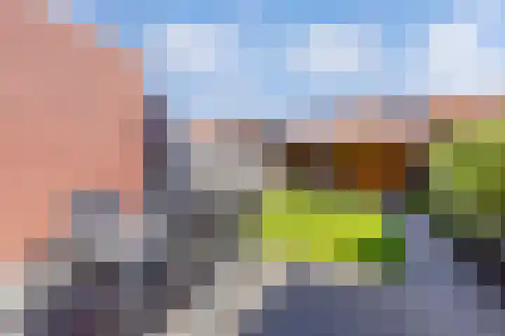 Resedawitje 23 Wolvega thumbnail 4
