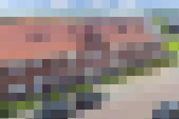 Resedawitje 23 Wolvega thumbnail 43
