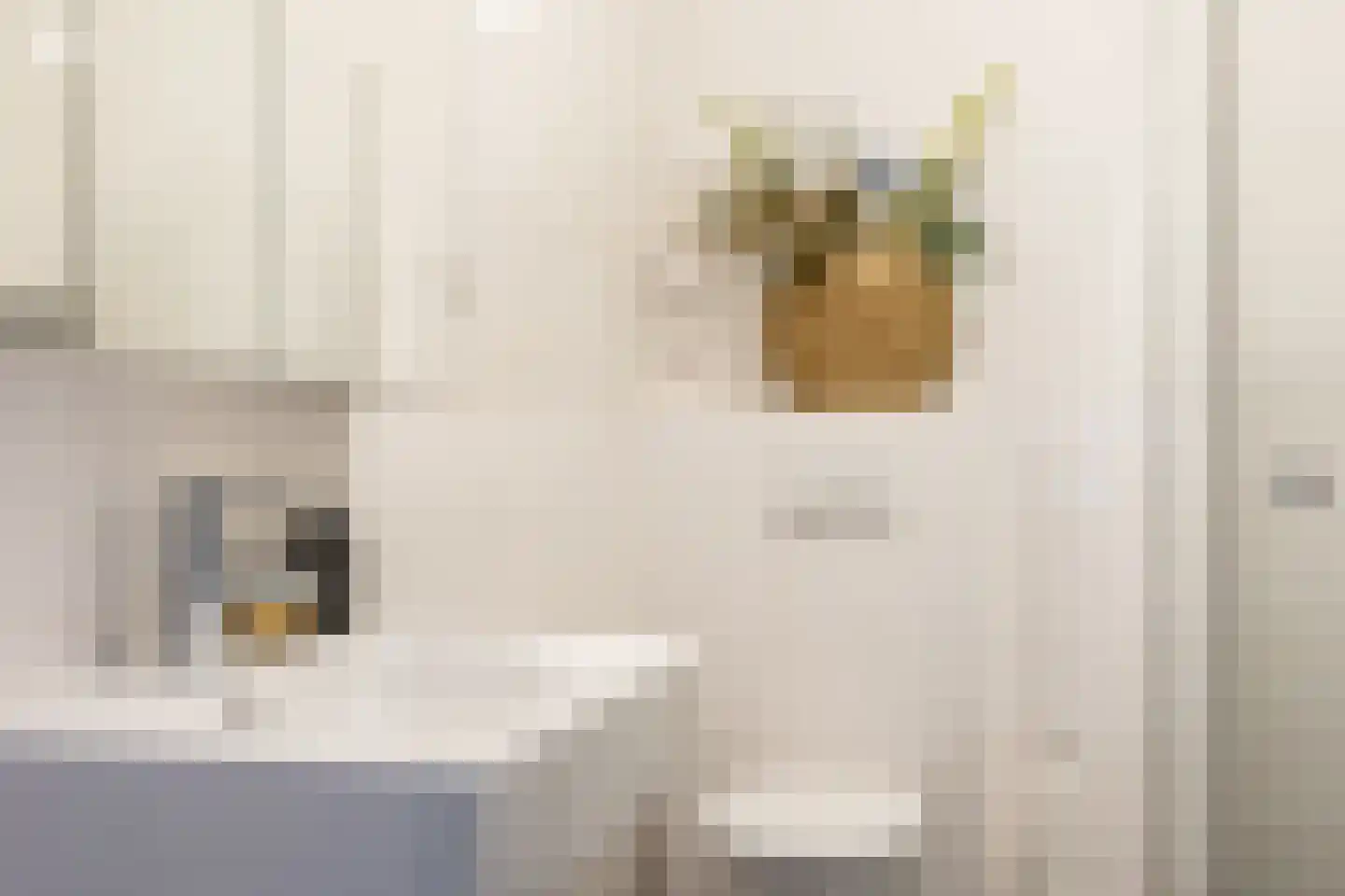 Reserveboezemstraat 5 Rotterdam thumbnail 27