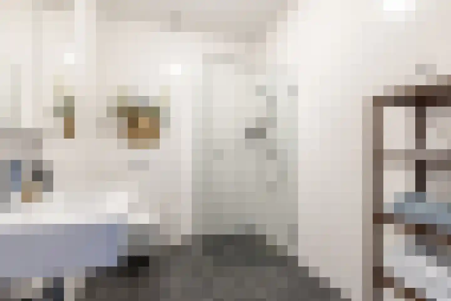 Reserveboezemstraat 5 Rotterdam thumbnail 28